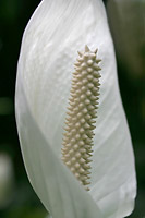 Obr.9