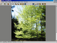 Prohlížení obrázků