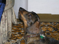 Blesk a denní osvětlení