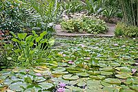 V botanické zahradě Balata