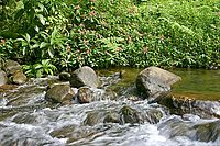 Říčka d´Alma v cetrální části ostrova