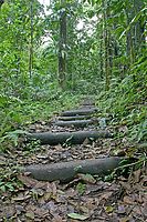 Z treku Trace des Jésuites