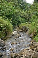 Říčka Parc National de la Guadelope | Ondřej Prosický Říčka Parc National de la Guadelope