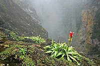 Průrva s vulkanickými exhalacemi na La Soufriére | Ondřej Prosický Průrva s vulkanickými exhalacemi na La Soufriére