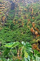 Z výstupu na La Soufriére I. | Ondřej Prosický Z výstupu na La Soufriére I.