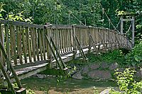 V deštném pralese na Route de la Traversée | Ondřej Prosický V deštném pralese na Route de la Traversée