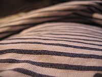 obr. 24: makro, hloubka ostrosti, f 2,8 | Petr Koritina obr. 24: makro, hloubka ostrosti, f 2,8