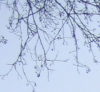 obr. 34: výřez levého horního rohu | Petr Koritina obr. 34: výřez levého horního rohu