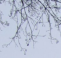 obr. 35: výřez levého horního rohu | Petr Koritina obr. 35: výřez levého horního rohu