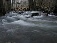 obr. 36: 1/2, f 8,0, ISO 50, F 38 mm | Petr Koritina obr. 36: 1/2, f 8,0, ISO 50, F 38 mm