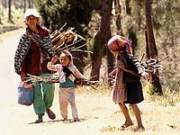 Klestí | Irena Rauchmanová Klestí