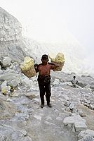 Nosiči síry | Irena Rauchmanová Nosiči síry