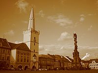 Ixus I5 - sepie | Petr Koritina Ixus I5 - sepie