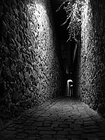 Ixus 40 - kresba, originální fotografie, 1,6 MB | Petr Koritina Ixus 40