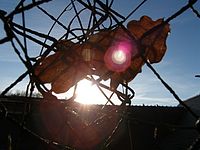 Makro - protisvětlo