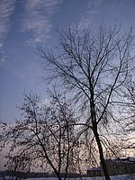 Kresba, protisvětlo (R)