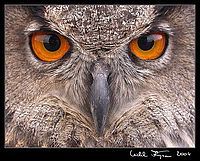 Obr.17: Ukázka barevného testovacího snímku