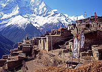 Ghyaru