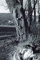 Tisk z PC - III