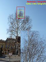 Aberace, kresba - 36mm (R)