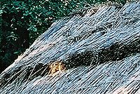 Kresba 24-70L; 28mm; f11; střed