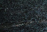 Kresba 24-70L; 28mm; f2,8; roh