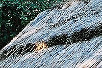 Kresba 24-70L; 28mm; f2,8; střed