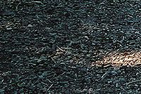 Kresba FD28;  f11; roh