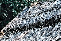 Kresba FD28;  f11; střed