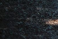 Kresba FD28;  f2,8; roh