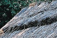 Kresba FD28;  f5,6; střed