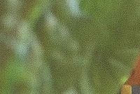 Protisvětlo 24-70L;  50mm; f2,8; dolní roh