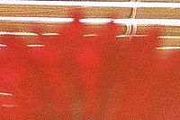 Protisvětlo 24-70L;  50mm; f2,8; horní roh