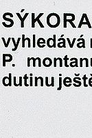 Vinětace 24-70L; 28 mm; f11; střed