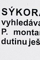 Vinětace FD28; f2,8; střed