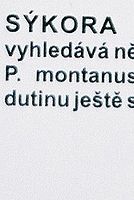 Vinětace FD50; f1,4; střed