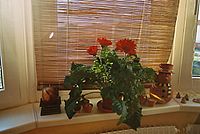 Protisvětlo FD28 f2,8