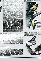 Vinětace 24-70L 50mm f11