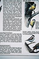 Vinětace 24-70L 50mm f2,8