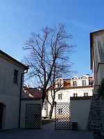 Kontrasty, aberace (R)