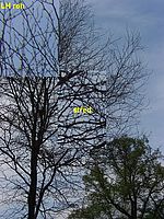 Kresba, aberace, f38 mm (R)