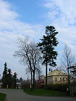 Kresba (R) | Petr Koritina Kresba (R)