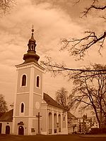 Sepie | Petr Koritina Sepie