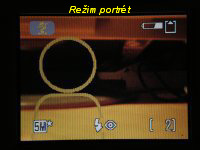 Portrét | Petr Koritina Portrét