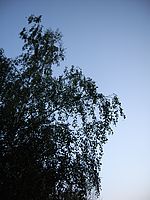 Detaily, aberace (R)