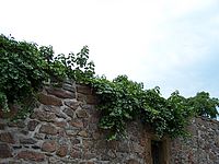 f 38 mm, kresba, aberace (R)