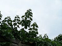 f 128 mm, kresba, aberace (R)