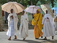 Etiopské deštníky