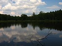 Rybník