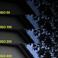 Šum noc